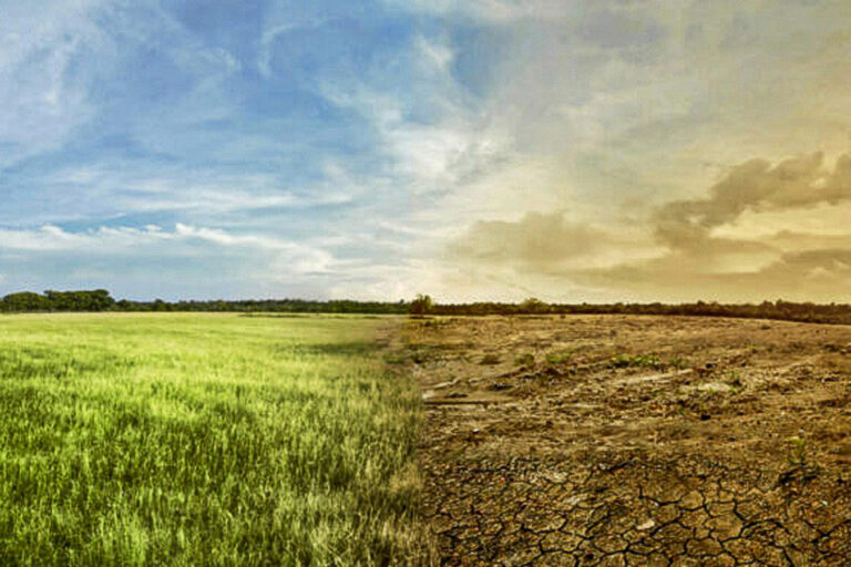 Climate