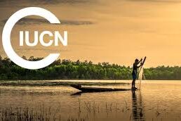 iucn